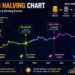 Bitcoin Halving Chart showing BTC price history